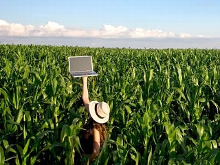 Internet conecta setor agrícola, afirma pesquisa