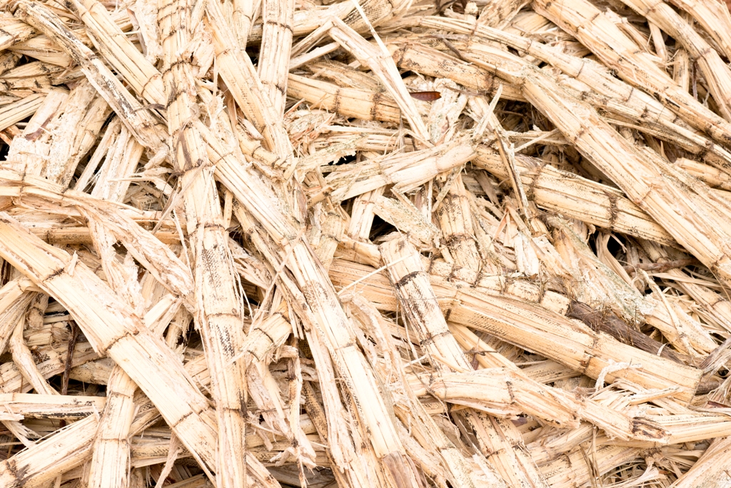 Inovação imatura : Pesquisa observa Sistema Nacional de Inovação em etanol lignocelulósico