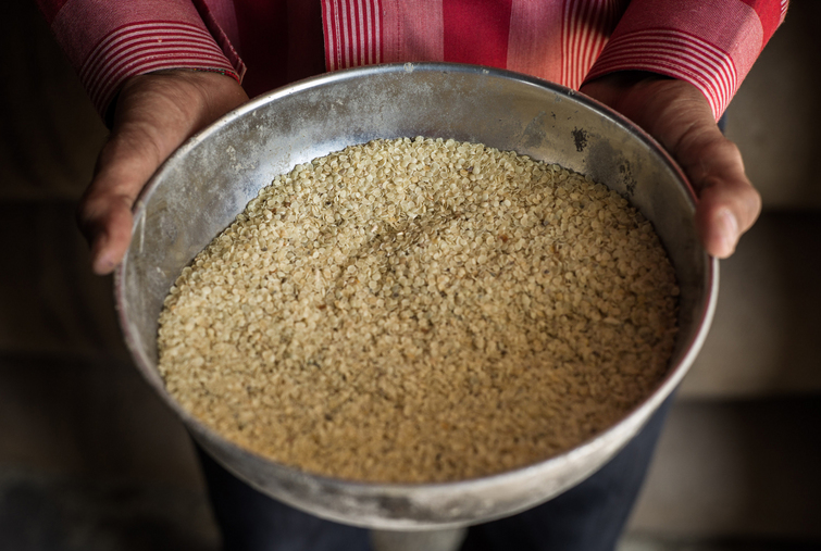 Gás de xisto valoriza o desconhecido guar