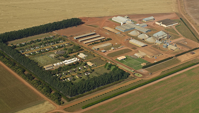 Empresas ligadas ao campo superam o Ibovespa em 2013