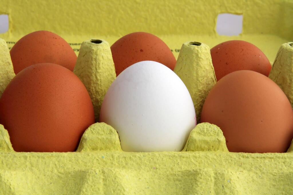 Queda na oferta e maior demanda elevam preços dos ovos