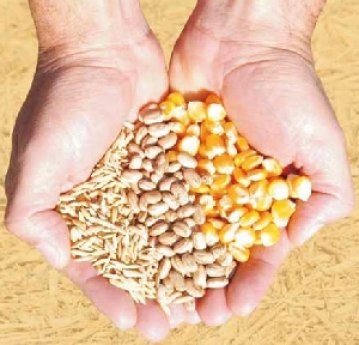 Governador de SP destaca potencial do agronegócio, mas cobra investimentos para diminuir custos