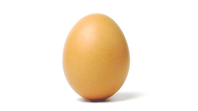 Produtores de ovos buscam inovações tecnológicas para atender consumidor mais consciente