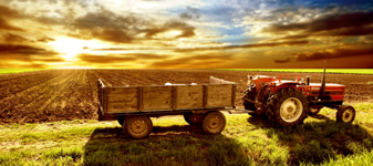 FAO recomenda que países apliquem modelo de agricultura sustentável