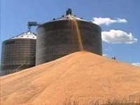 Conab apresenta experiência brasileira em abastecimento na Expo Milão