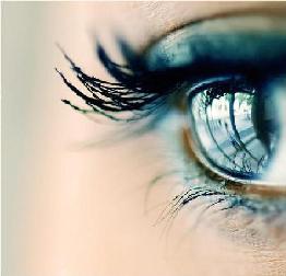 Mulheres da Topigs do Brasil estão no escritório e no campo