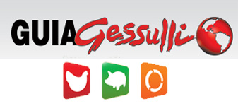 Guia Gessulli: Crescimento em acessos que resultam em bons negócios