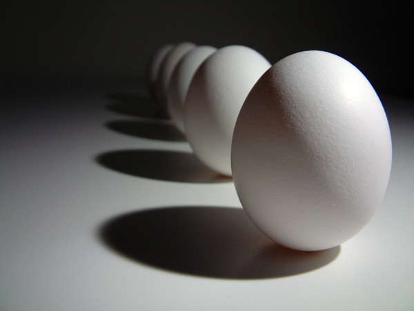 Ovos/Cepea: reduz diferença entre preços de ovos branco e vermelho