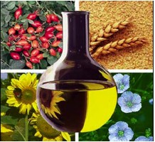 Câmara Setorial de Oleaginosas e Biodiesel tem novo presidente