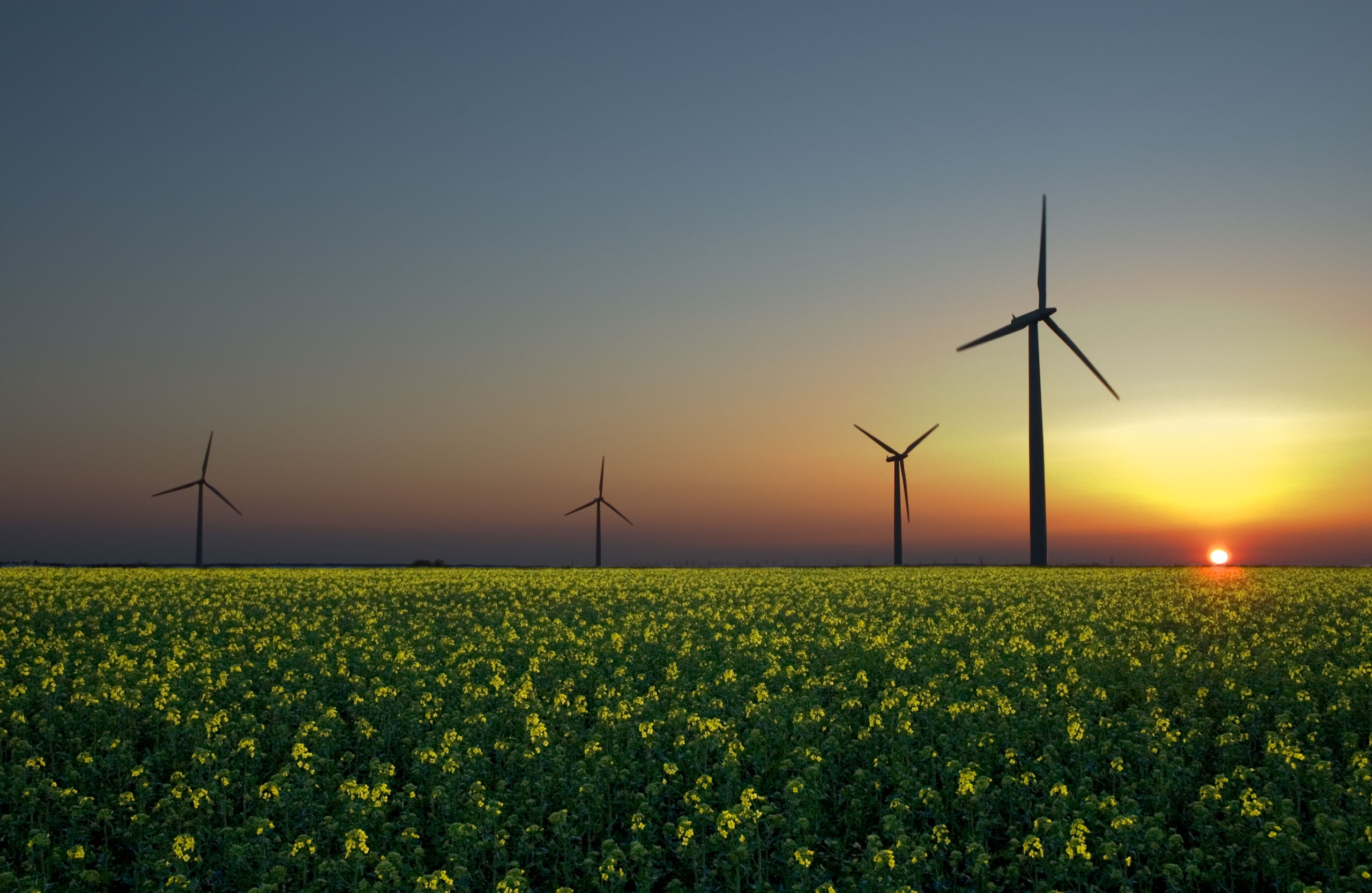 Sobretaxas travam energia renovável