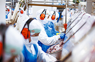 Terceirização de inspeção sanitária pode afetar saúde pública