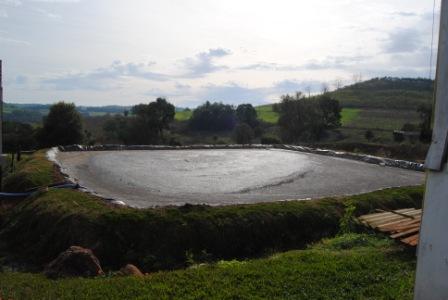 Mapa quer priorizar suinocultura no Plano ABC