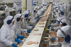 Sisbi: Secretários de Agricultura apoiam ministra e defendem inspeção estadual