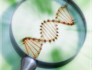 Agricultura defende cooperação para fortalecer sanidade agropecuária