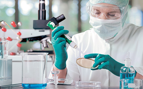 Pesquisa em virologia é essencial para a economia do País