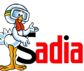 Sadia coloca homem à frente da cozinha