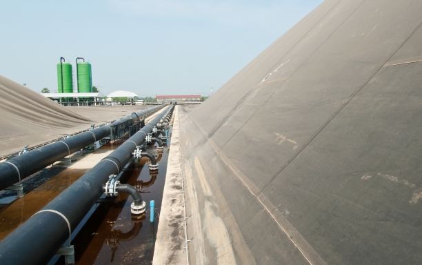 Fórum vai discutir produção de biogás com dejetos de suínos
