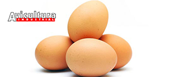 Avicultura Industrial apoia realização da Semana do Ovo 2014 de 6 a 11 de outubro