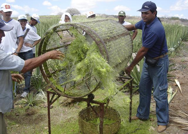 Resíduos agrícolas viram autopeças e telas de TV