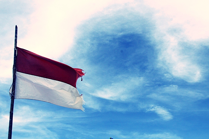 Frango faz Brasil denunciar Indonésia na OMC