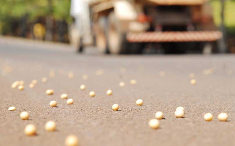 Fila para carregar grãos nos portos do Brasil alcança 54 navios