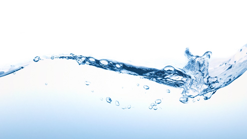 Hidrogel superabsorvente otimiza uso de água na agricultura