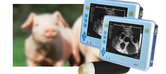 Caresono Technology apresenta aparelho portátil de ultrassom para suínos na FIPPPA 2015