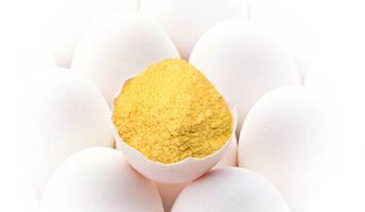 Fábrica de ovo líquido e em pó inaugura em setembro, na região de Bastos