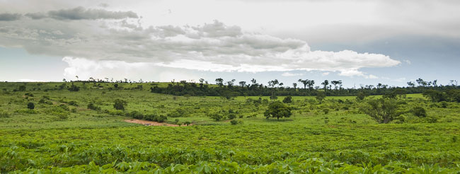 Projeto Rural Sustentável ajudará Brasil a cumprir objetivos da COP 21