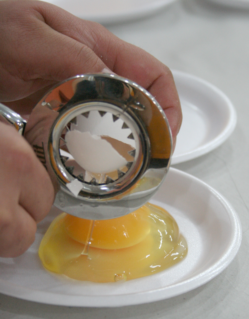 Divulgado o regulamento do Concurso de Qualidade de Ovos de Bastos 2015