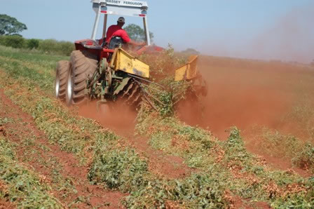 El Niño pode atrapalhar colheita no Paraná e Mato Grosso