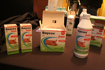 Bayer dá início ao lançamento mundial de uma nova tecnologia para o controle da coccidiose e prevenção de anemia em leitões