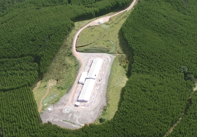 Aviagen celebra 30 anos de atuação no Brasil