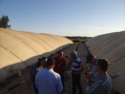 Equipe do projeto Suinocultura de Baixa Emissão de Carbono conhece a BRF/MT