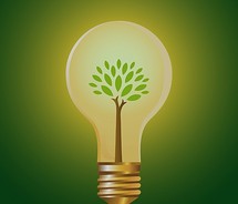 Relatório mundial sobre bioenergia assegura que não falta terra para produção