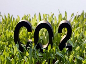 Aplicativo para smartphone permite calcular a produção de biogás a partir de resíduos da criação animal