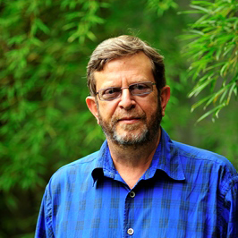 Chuva e seca provocam fenômenos distintos na colheita da soja