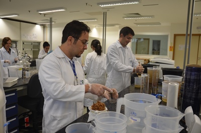 Resultados de pesquisas em agroenergia serão divulgados na Embrapa