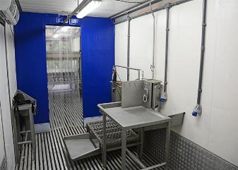 Abatedouro móvel é alternativa para pequena produção de suínos