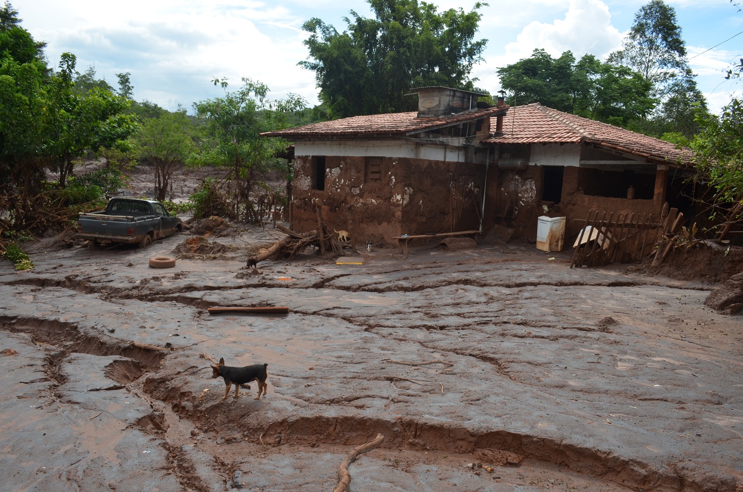 Produtores sofrem com prejuízos provocados pela lama em Mariana