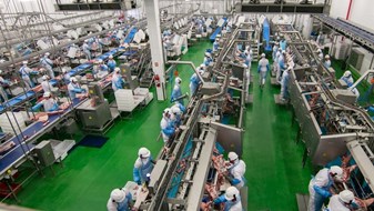 No Paraná, cooperativas faturam 10% mais em ano de crise e alcançam R$ 55 bilhões No Paraná, cooperativas faturam 10% mais em ano de crise e alcançam R$ 55 bilhões