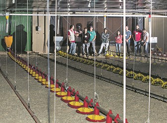 “Granja-escola” ensina segredos dos aviários