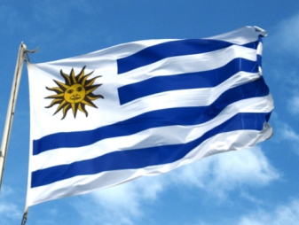 Com 95% de sua energia sendo renovável, Uruguai se torna exemplo mundial