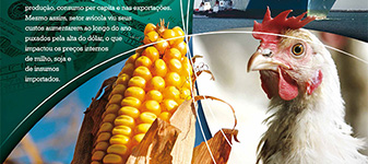 Anuário 2016:Ano Positivo mas de custos elevados