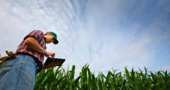 Zootecnia de precisão aumenta eficiência e reduz perdas