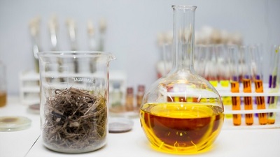 Enzimas de microrganismos da Amazônia serão usadas na produção de álcool