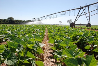 Agricultura cresce no Brasil, mesmo com mudanças climáticas