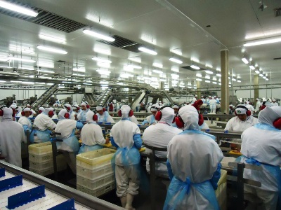 GTFoods projeta abate diário de 750 mil/aves até o final do ano