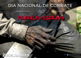 Agricultura e pecuária correspondem a 15% do total de trabalho escravo no Brasil