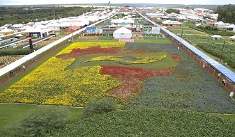 Gessulli Agribusiness no Show Rural 2016